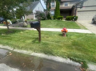 Candace H.'s Lawn Care service result