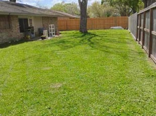 DAVE J.'s Yard Cutting service result