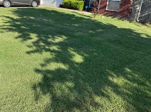 Sherry W.'s Lawn Care service result