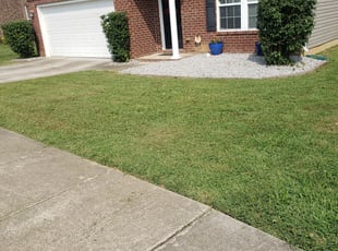 Bush Trimming by Anton Sumlin for Weber D. in Whites Creek, TN