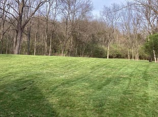 James A.'s Yard Cutting service result