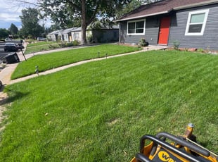 Taylor L.'s Lawn Service service result