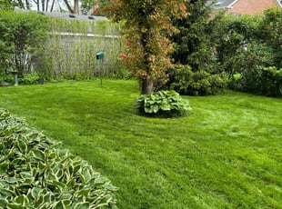 Joshua B.'s Lawn Service service result