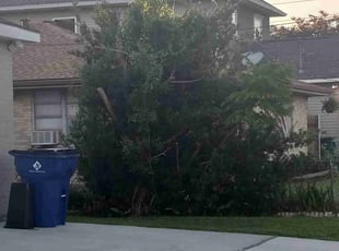 Bush Trimming by Jack Vicknair for Ashley P. in Metairie, LA