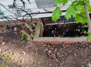 Leaf Removal by Kelli Bishop for Whitney J. in Canton, OH