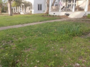 Weeding by Brian Orozco for Michael C. in McKinney, TX