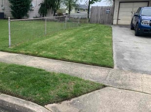 Ebony H.'s Yard Cutting service result