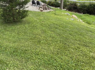 Lauren A.'s Lawn Care service result