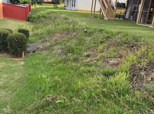 Cleanups by Armando J for Ishaan B. in Lawrenceville, GA