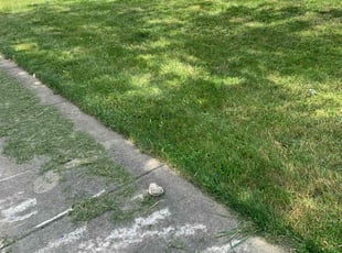 Jonathan N.'s Lawn Care service result