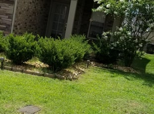 Weeding by Erik Carvotta for Annetta J. in Hendersonville, TN