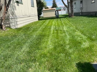 Gary & Eva D.'s Lawn Care service result