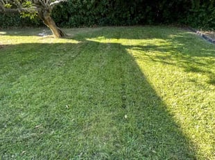 Anna L.'s Lawn Service service result