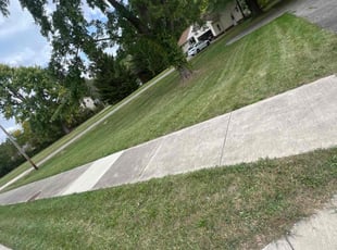 Janeen C.'s Grass Cutting service result
