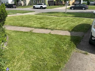 Cleanups by Annette Choates for Ali H. in Buffalo, NY
