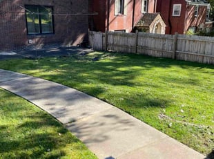 Matthew P.'s Lawn Mowing Service service result