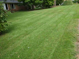 Joshua R.'s Lawn Care service result