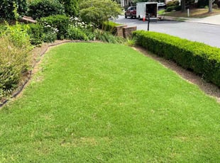 Tammy W.'s Lawn Care service result