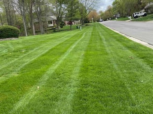 Chris B.'s Lawn Mowing service result