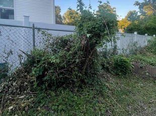 Bush Trimming by Nelly Arredondo for Diedra P. in Capitol Heights, MD