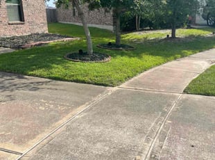Jason V.'s Lawn Service service result