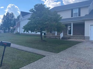 Susana A.'s Lawn Care service result