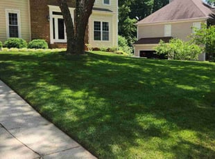 James S.'s Lawn Mowing service result
