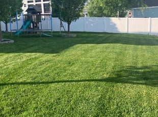 Ray C.'s Lawn Care service result