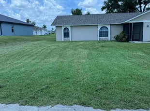 Nishi P.'s Lawn Care service result