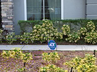 Weeding by Adrian Magraner for David Z. in Davenport, FL