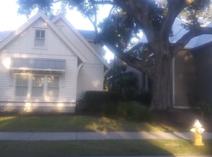 Bush Trimming by Brandon Sanders for Scotty B. in Charleston, SC