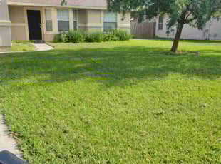 Rich J.'s Lawn Maintenance service result
