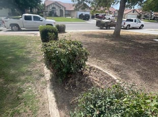 Weeding by Rogelio Maciel for Annur S. in Bakersfield, CA