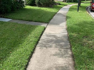 Pete M.'s Lawn Mowing Service service result