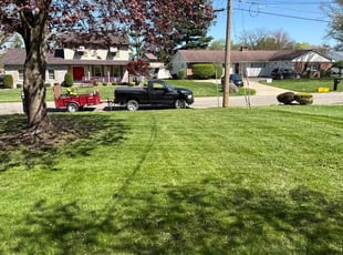 Ash W.'s Lawn Care service result