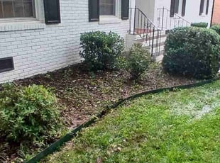 Bush Trimming by Christian Gonzalez for Matthew T. in Charlotte, NC