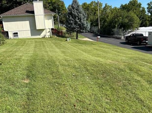 Michael S.'s Lawn Mowing service result