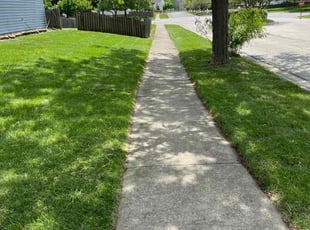 Bob D.'s Lawn Service service result