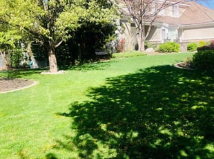 Steven B.'s Lawn Service service result