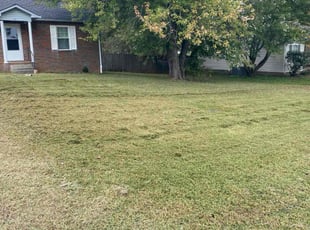Vince E.'s Lawn Service service result