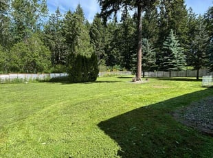 Matthew T.'s Lawn Mowing service result
