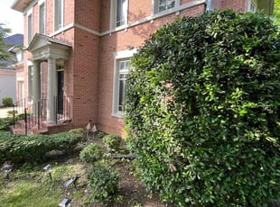 Cleanups by Adolfo Andrade Vigil for Shivani B. in Bethesda, MD