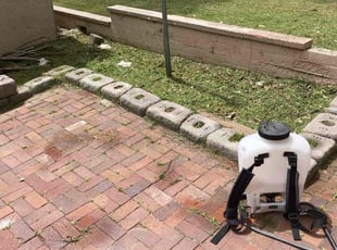 Janelle E.'s Lawn Maintenance service result