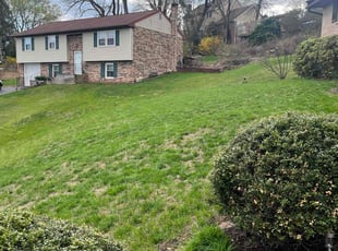 Anne R.'s Lawn Service service result