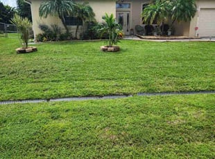 Kristina K.'s Grass Cutting service result