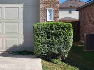 Bush Trimming by Josue Perez Rios for Cynthia T. in Leander, TX