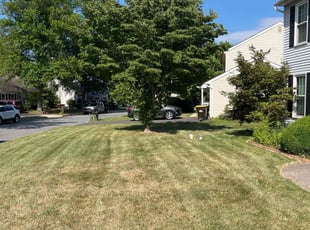 Nathaniel B.'s Lawn Maintenance service result