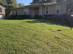 Bush Trimming by Richard Williams for Shannon C. in Louisville, KY