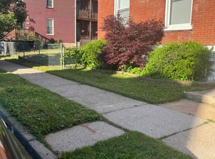 Bush Trimming by Candice Harvey for Cameron M. in St. Louis, MO