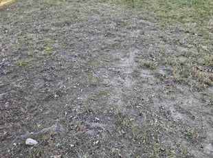 Leaf Removal by Jerrel Kenon for Richard P. in Fort Washington, MD